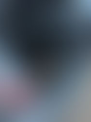 Gun Storage & Transportation