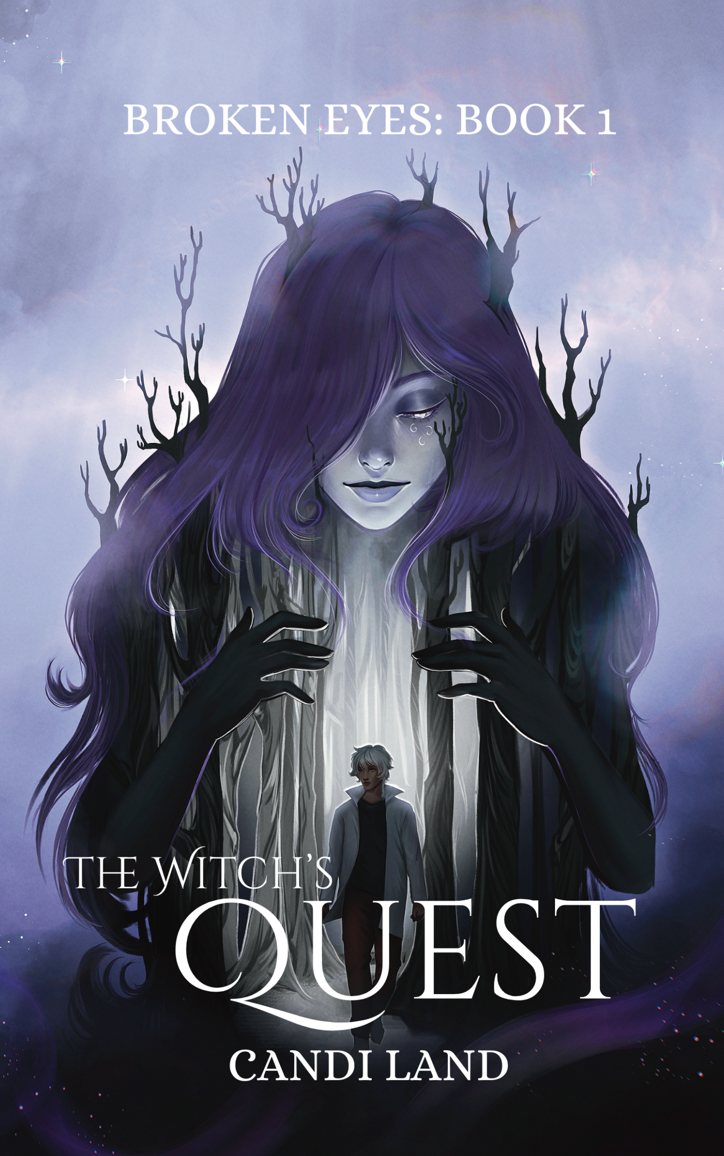 The Witch's Quest - Broken Eyes Book 1 by Candi Land