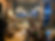 IMG_1192.jpeg