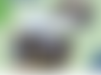 Fueling the Multilateral Fight Against Malaria