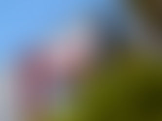 台積電搶進、售電業崛起!台灣大瘋綠電新商機