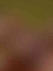 Saia Sereia - Mara e Mari - A Preciosa - Moda Feminina e Moda Casual - Léo Taveira Web & Design Estratégico