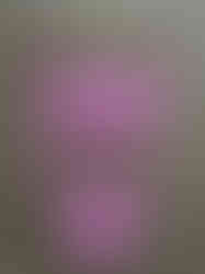 Biquíni Louise - Mara e Mari - A Preciosa - Moda Feminina e Moda Casual - Léo Taveira Web & Design Estratégico