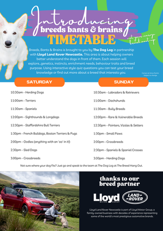 Breeds, Bants & Brains – It's More Than Just a Breed Meet-Up! In partnership with Lloyd Land Rover Newcastle. 