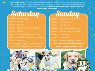 Breeds, Bants & Brains: The Breed Hang Out has an upgrade thanks to The Dog Log.