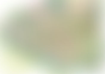 The 2025 map is here! 