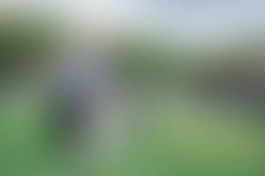 Festival proves to be barking mad success!