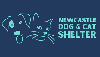 Welcoming Newcastle Dog and Cat Shelter