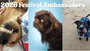 Say hello to our 2026 Festival Ambassadors!