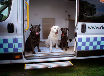 Have you got a Clever K9? Join us at the festival with activity sponsor Doorstep Vet. 