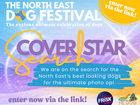 The Cover Star search is on! 