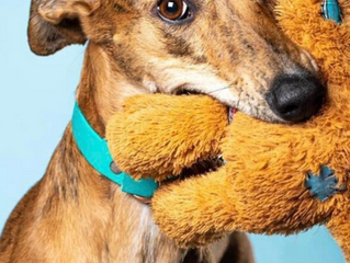 Meet our 2023 Cover Star