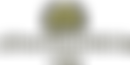 Alnorthumbria Vets joins festival as wellness sponsor.