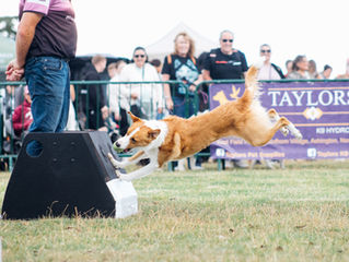 Tickets on sale now!