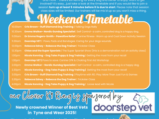 Introducing our Clever K9 Ring timetable; sponsored by Doorstep Vet.