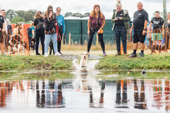Let Your Dog Join the Fun! in partnership with Mains Cottages & Shepherds Retreats