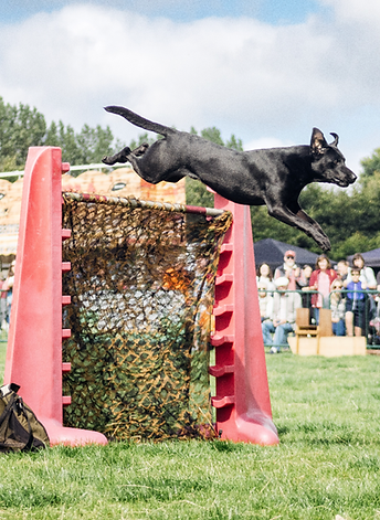 Screenshot 2024-09-02 at 20.20.00.png