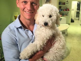 Celebrity judges announced for North East Dog Festival