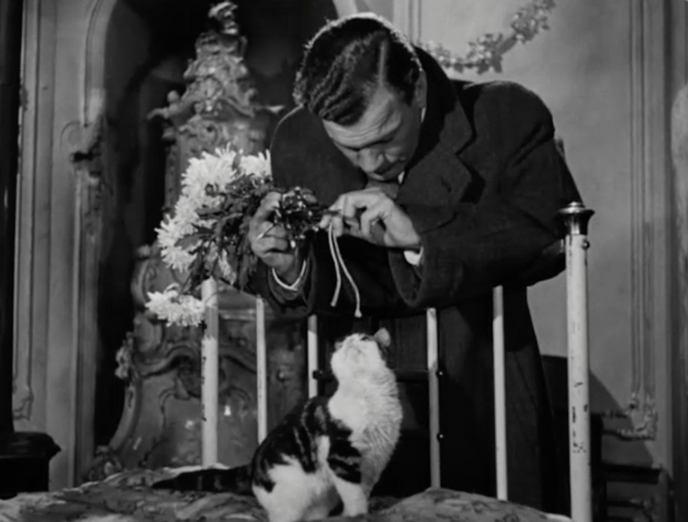 Holly Martins plays with Harry's cat in "The Third Man".