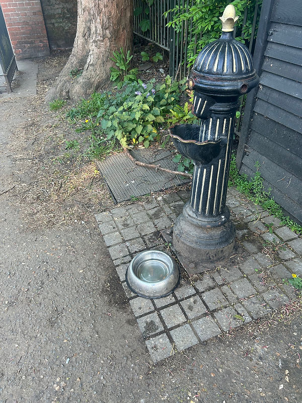 DrinkingFountain.jpeg