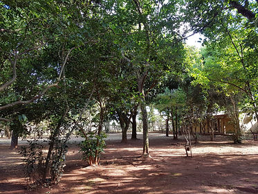 Casa Yaguarete B&B Puerto Iguazu Argentina