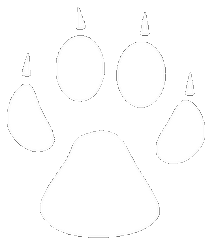 Chien, chiens, chienne, chienne, chiot, chiots