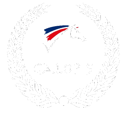 Galop 5, 4, 3, 2, 1, niveau