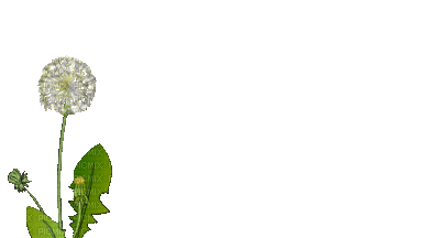 1632258_62ae0.gif