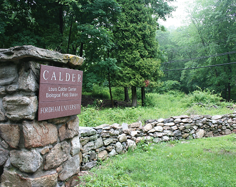 calder-photo-for-website.png