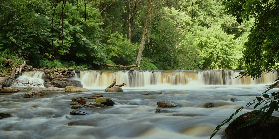 Heart of the Wissahickon