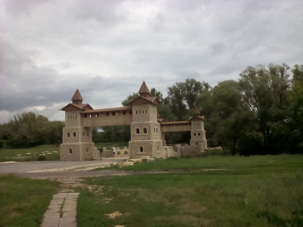 IMG_20150630_124447.jpg