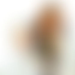 Второе дыхание...