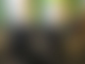 Беседа о важном