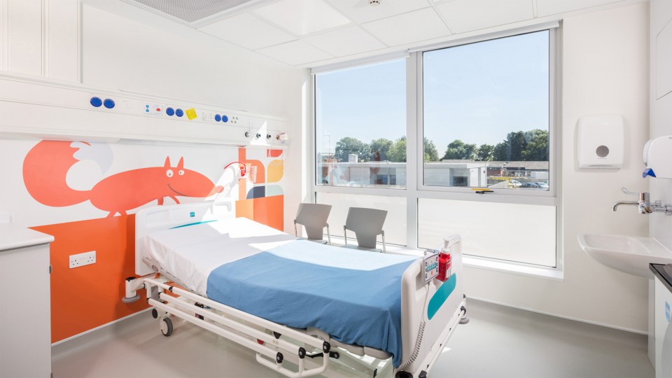 Gray Baynes and Shew LLP — HEALTHCARE