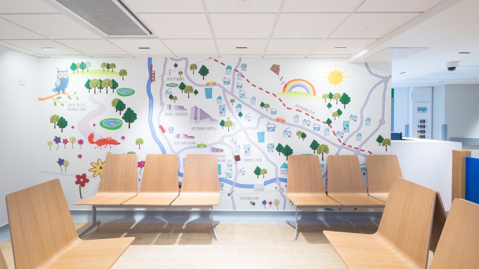 Gray Baynes and Shew LLP — HEALTHCARE