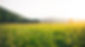 jorg-HirOEl-PGak-unsplash_edited.jpg