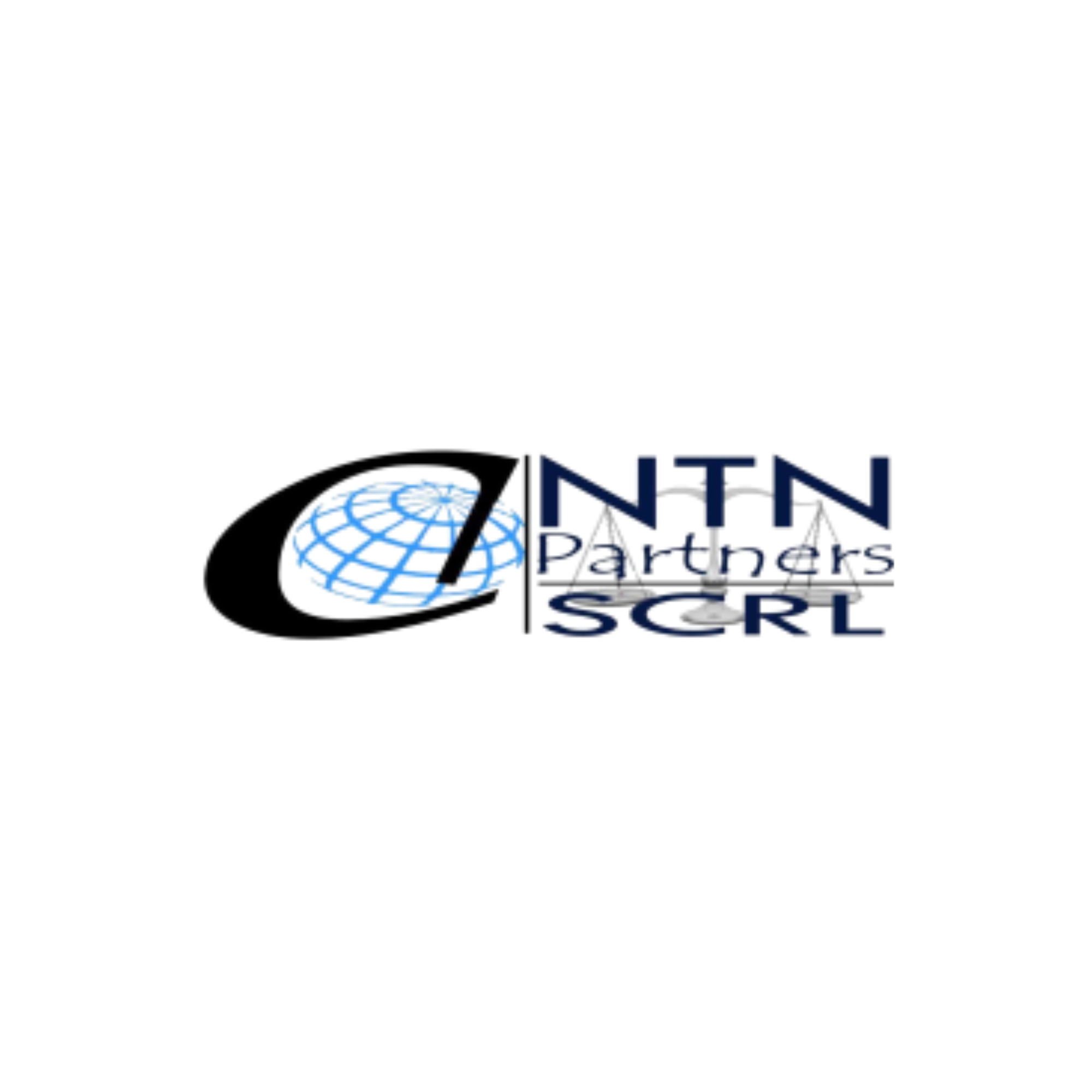 logo NTN_2.jpg