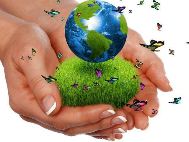 MEDIO AMBIENTE