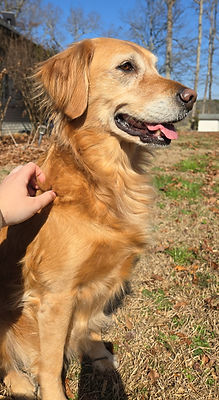 Snapchat-2036385768 (1)_edited.jpg