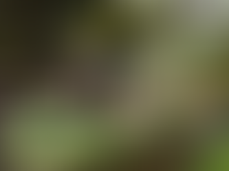 Main house at Ethereal Farms seasonal farm stay in Chester County PA surrounded by countryside landscape