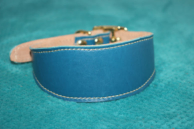 Leather Hound Collar