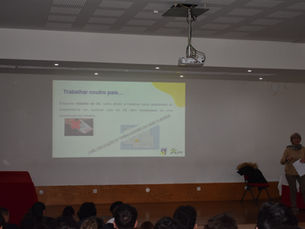 Programa Europeu EURES