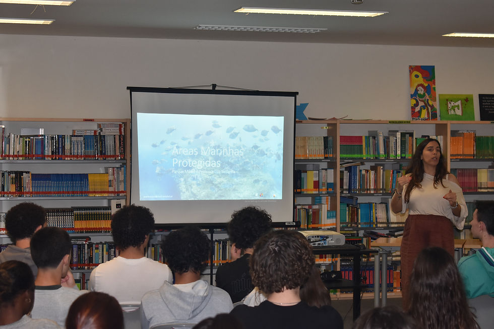 Ação de sensibilização Parque Marinho Professor Luís Saldanha