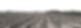 b_edited.png