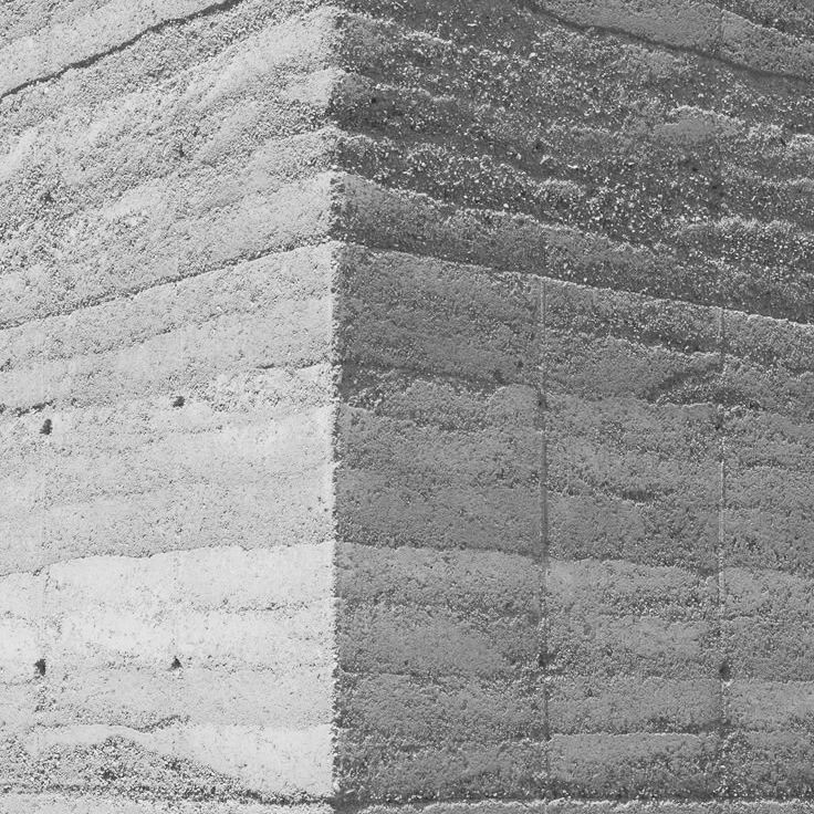 Close-up of a weathered white rammed earth wall with cracks, rough patches, and a vertical seam, creating a stark texture.