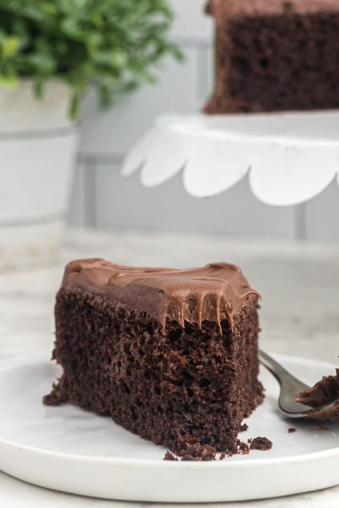 slice of chocolate cake on a plate from an air fryer