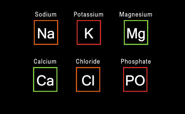 electrolyte chart with 6 elements on it