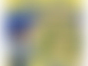 Air Fryer Kardea Brown Smothered Chicken & Rice