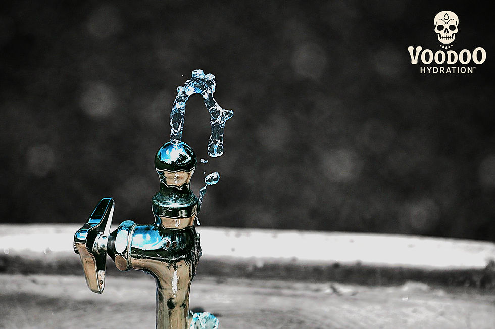 a close up of a drinking fountain
