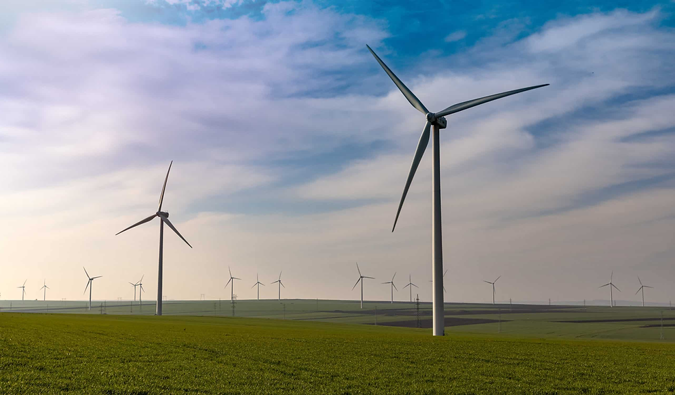 windmills in a field